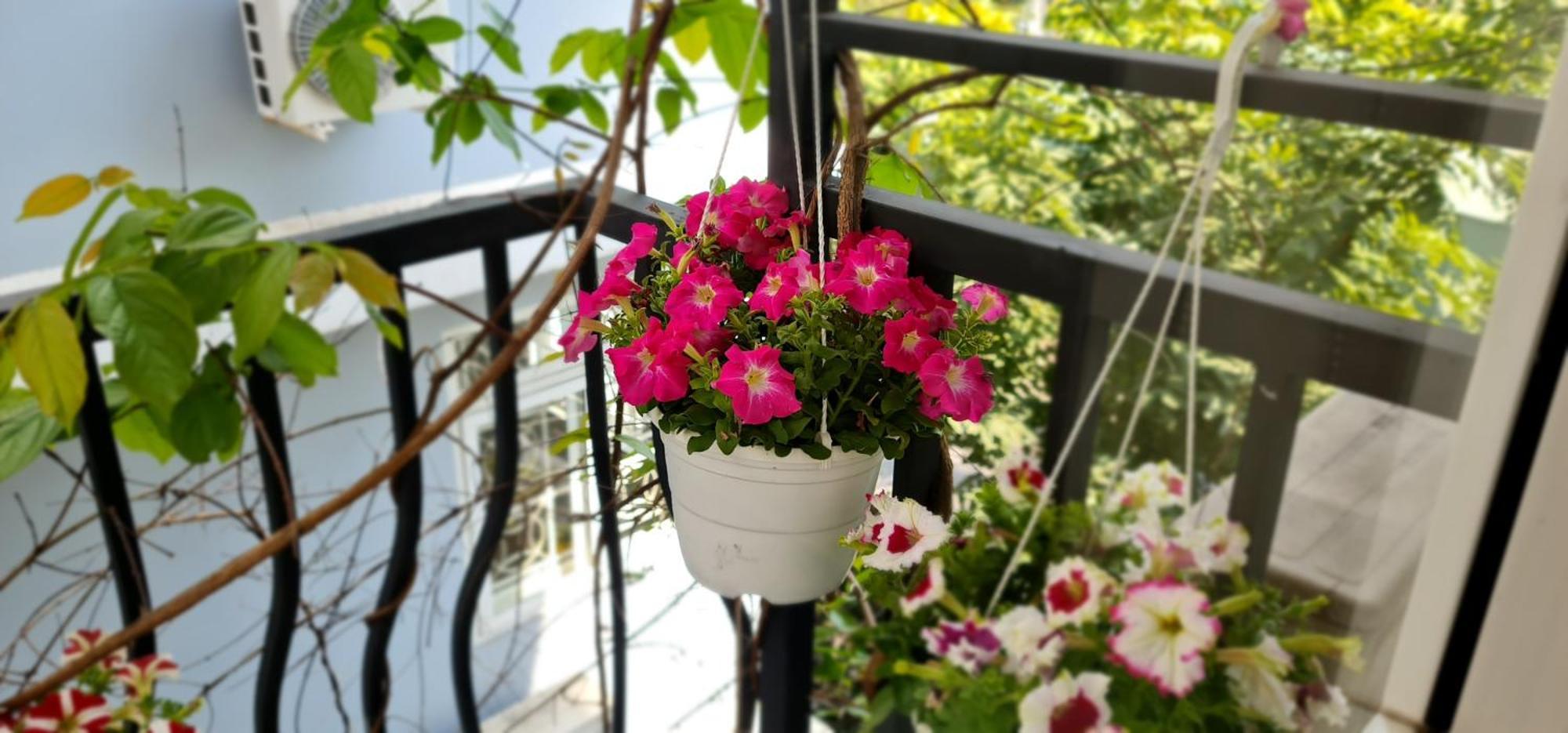 Spring Light Home Ho Chi Minh City Exterior photo